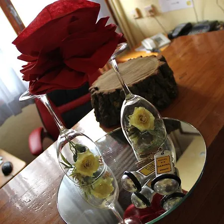 Garona Hotel 2*